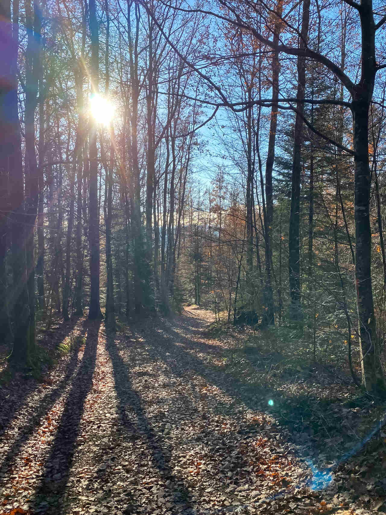 Nature, Natur Chateau de la Rosemontoise - seminair, conference, events