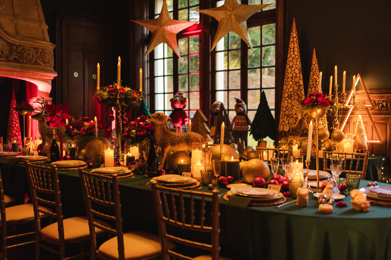 Chateau de la Rosemontoise DSC03318