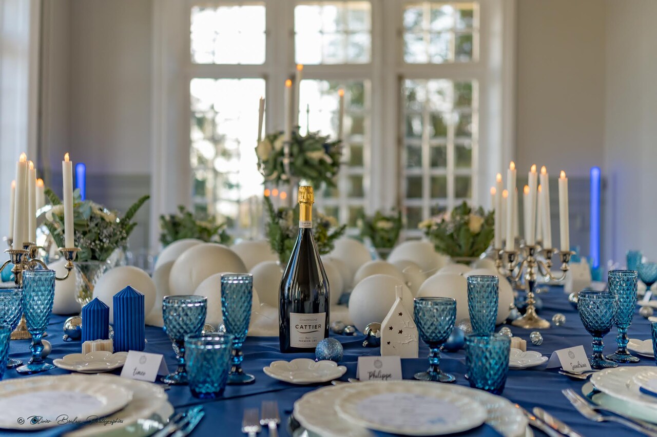 Chateau de la Rosemontoise DSC03318