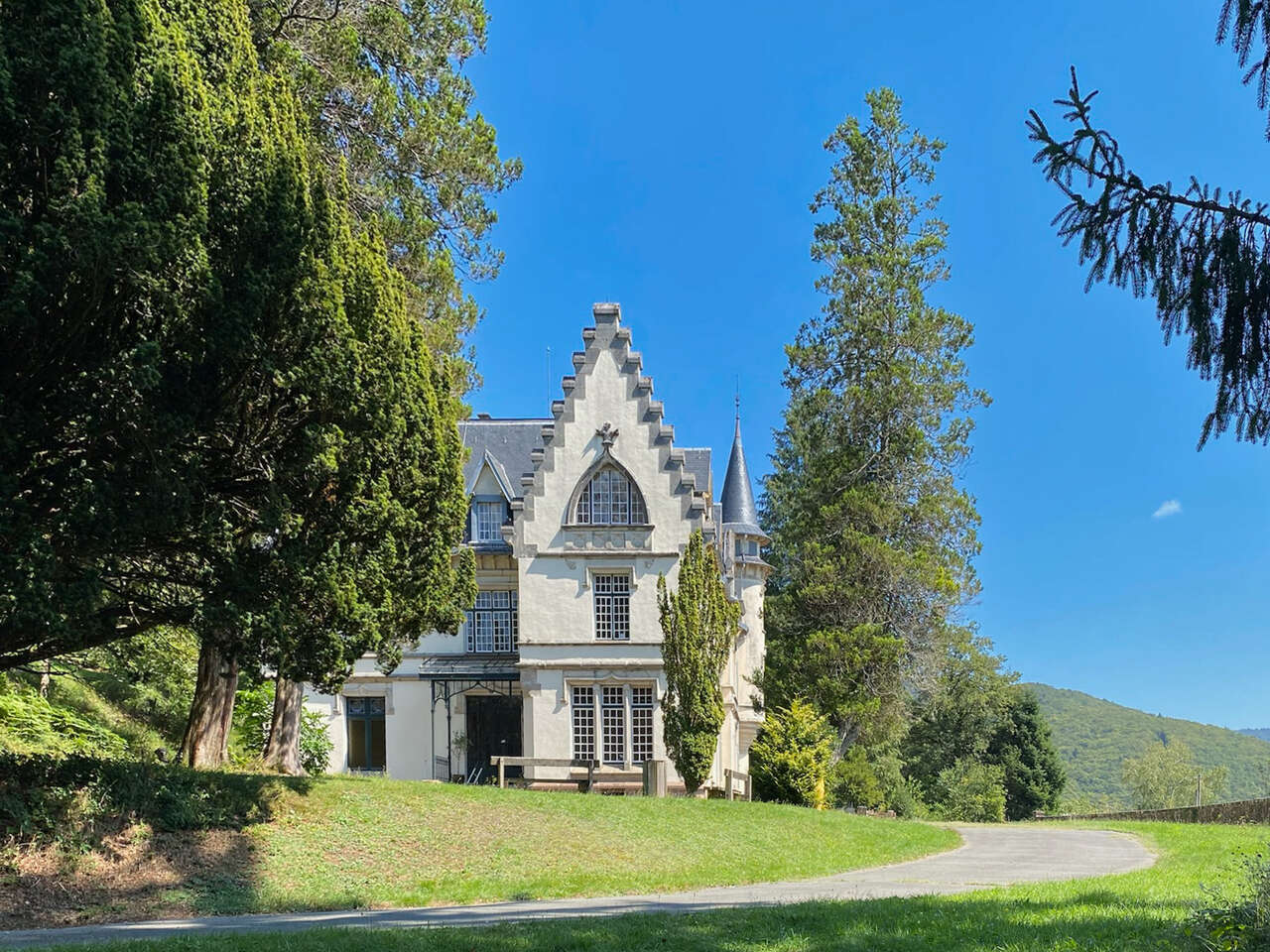 Château de la Rosemontoise - Vosges